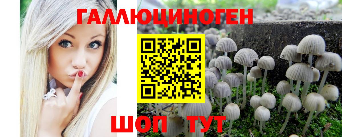 Карачаевск  Галлюциногенные грибы мицелий  Вход с VPN 